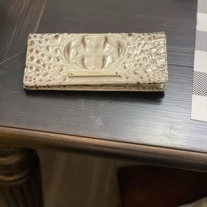 Brahmin Ady wallet